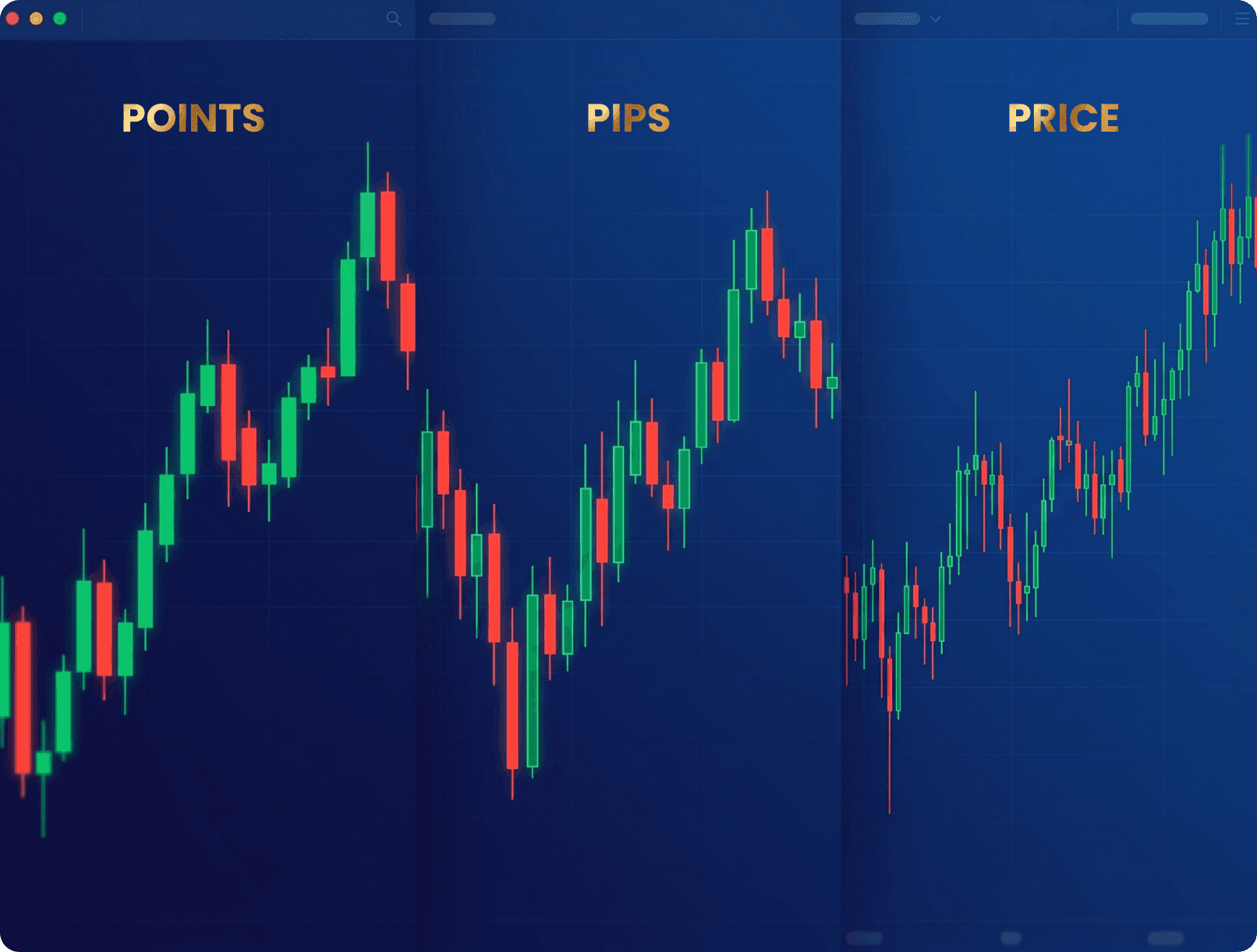 Understanding Pips, Points, and Price Movements