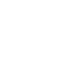 Professional Support Team